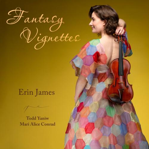 Cover Fantasy Vignittes