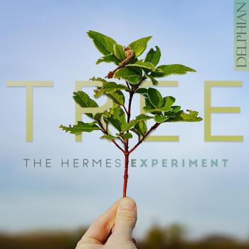 Cover Tree
