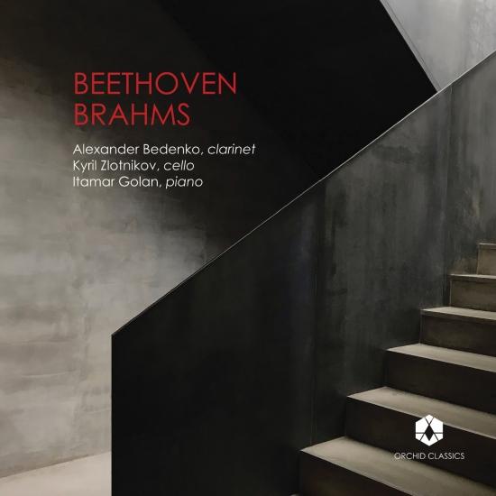 Cover Beethoven: Clarinet Trio in E-Flat Major, Op. 38 - Brahms: Clarinet Trio in A Minor, Op. 114