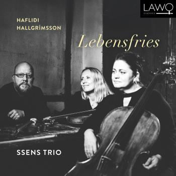 Cover Hallgrímsson: Lebensfries