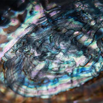 Cover Supernova (EP)