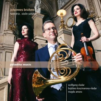Cover Brahms: Horn Trio & Violin Sonatas