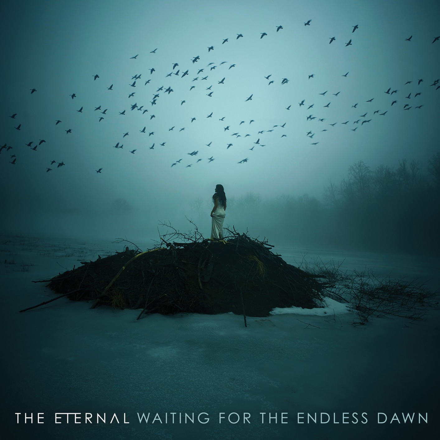 Cover Waiting for the Endless Dawn