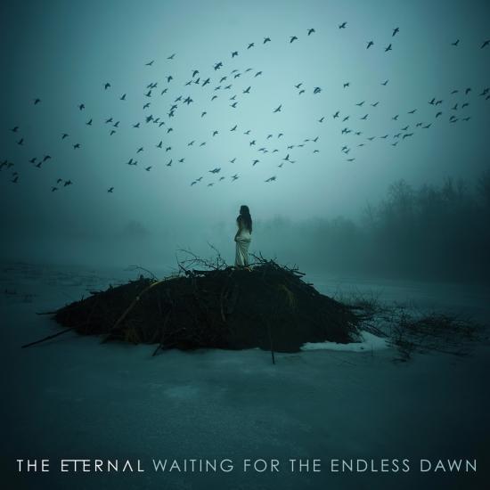 Cover Waiting for the Endless Dawn