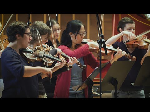 Video la festa musicale | Francesco Venturini: Concerti