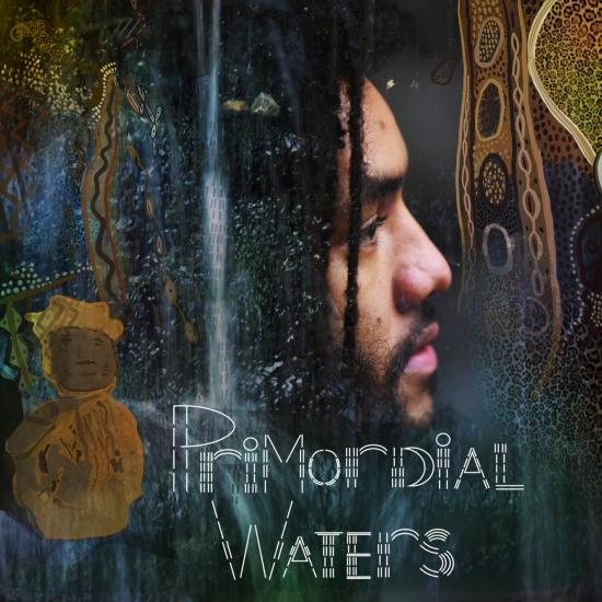 Cover Primordial Waters