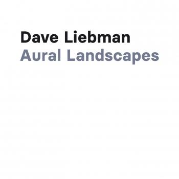 Cover Aural Landscapes