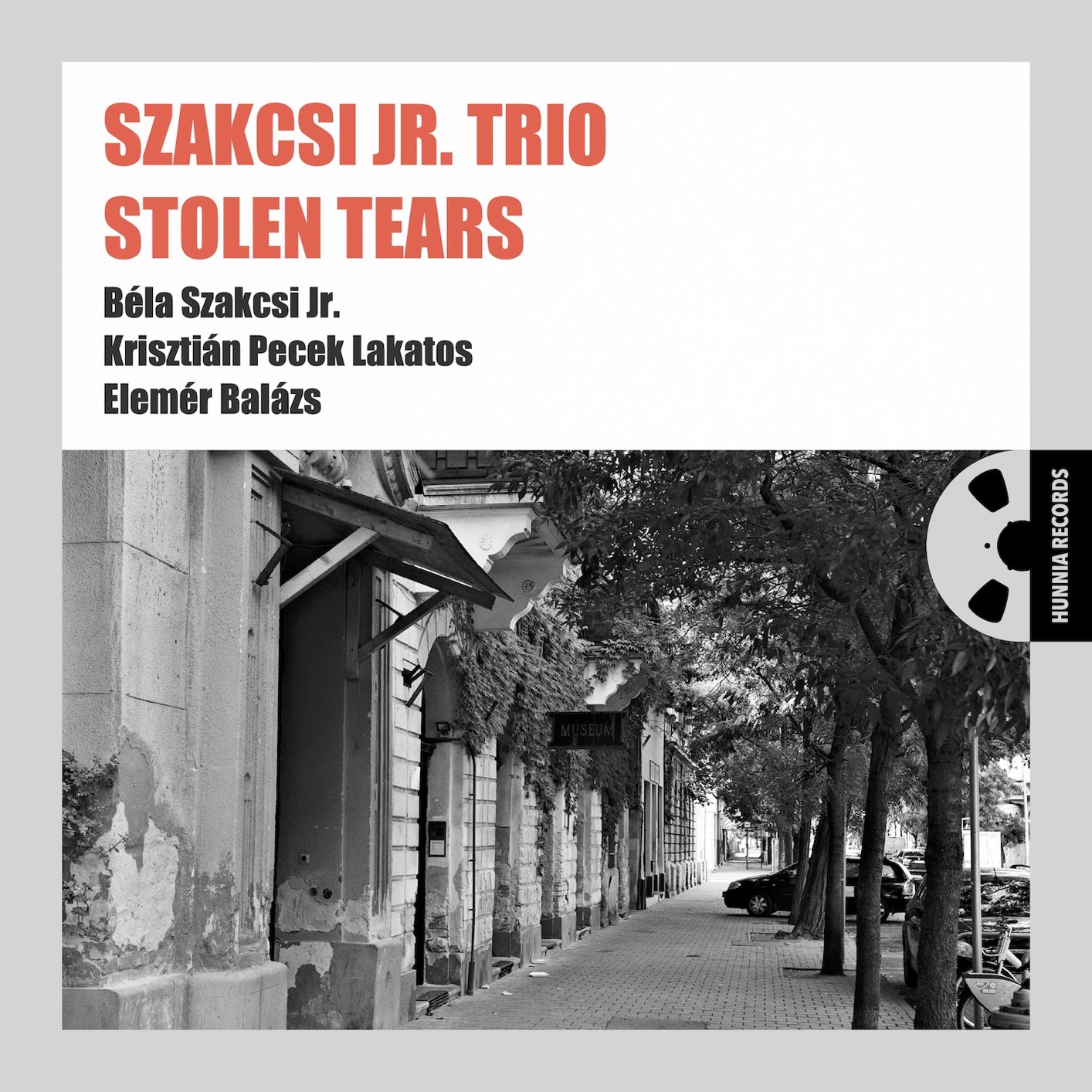 Cover Stolen Tears