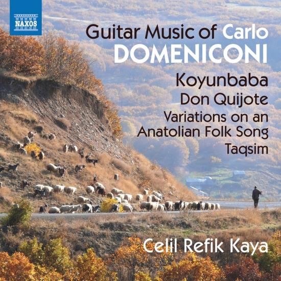 Cover Domeniconi: Guitar Music