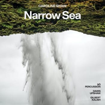 Cover Caroline Shaw: Narrow Sea