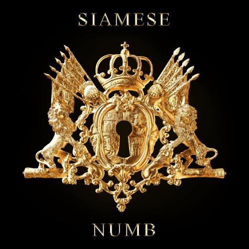 Cover Numb