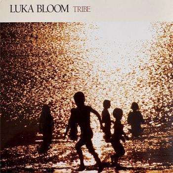 Cover Tribe