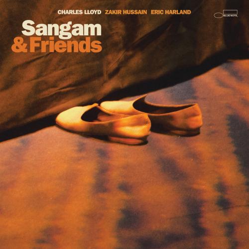 Cover Sangam & Friends