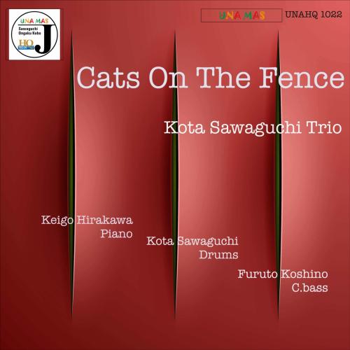 Cover Cats on the Fence