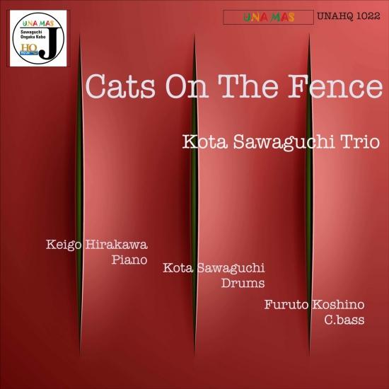 Cover Cats on the Fence