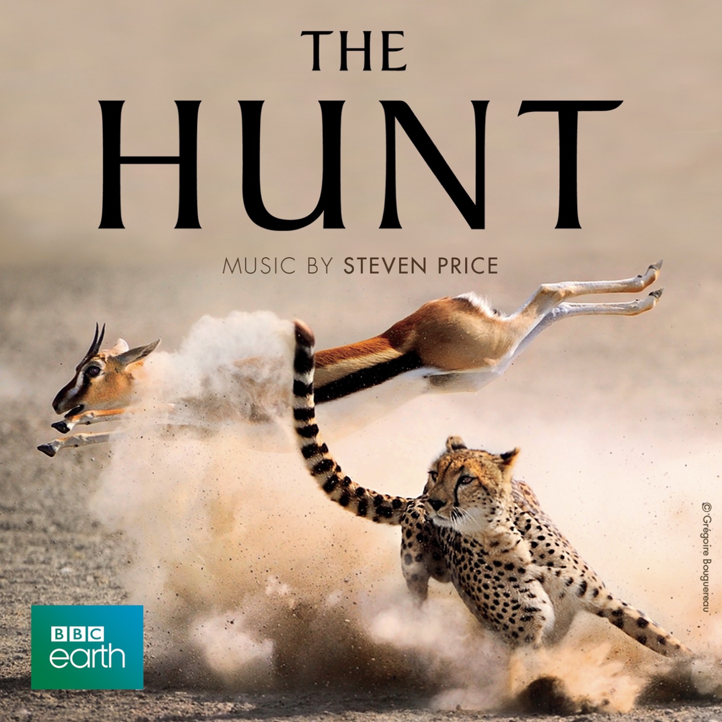 Cover The Hunt