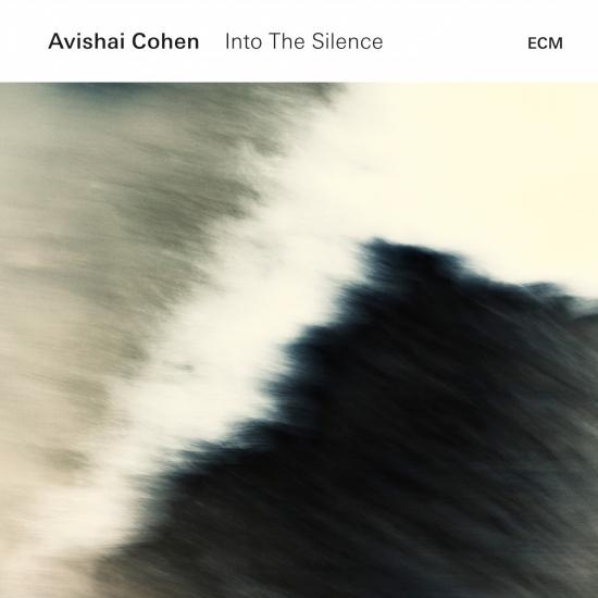 Cover Into the Silence