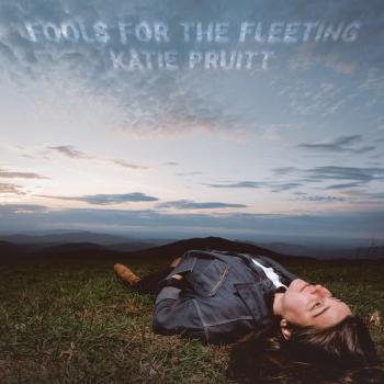 Cover Fools for the Fleeting