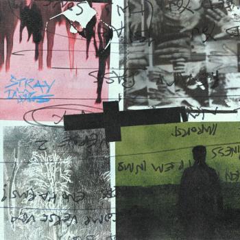 Cover Stray Dogs