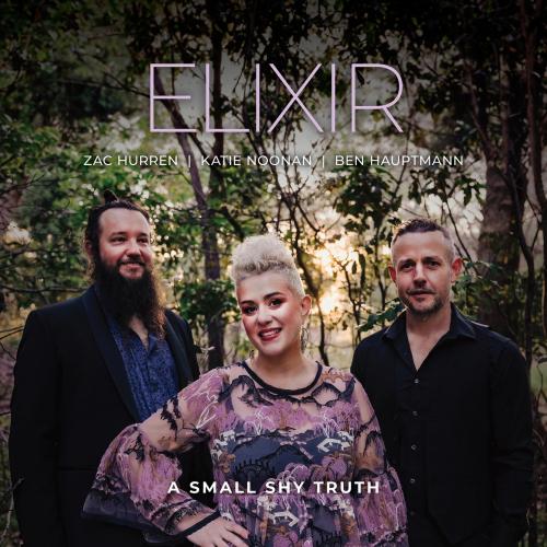 Cover A Small Shy Truth