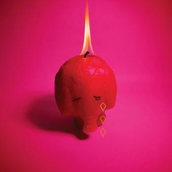 Cover Pink Elephant