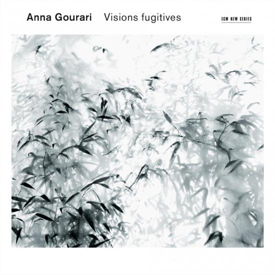 Cover Visions fugitives