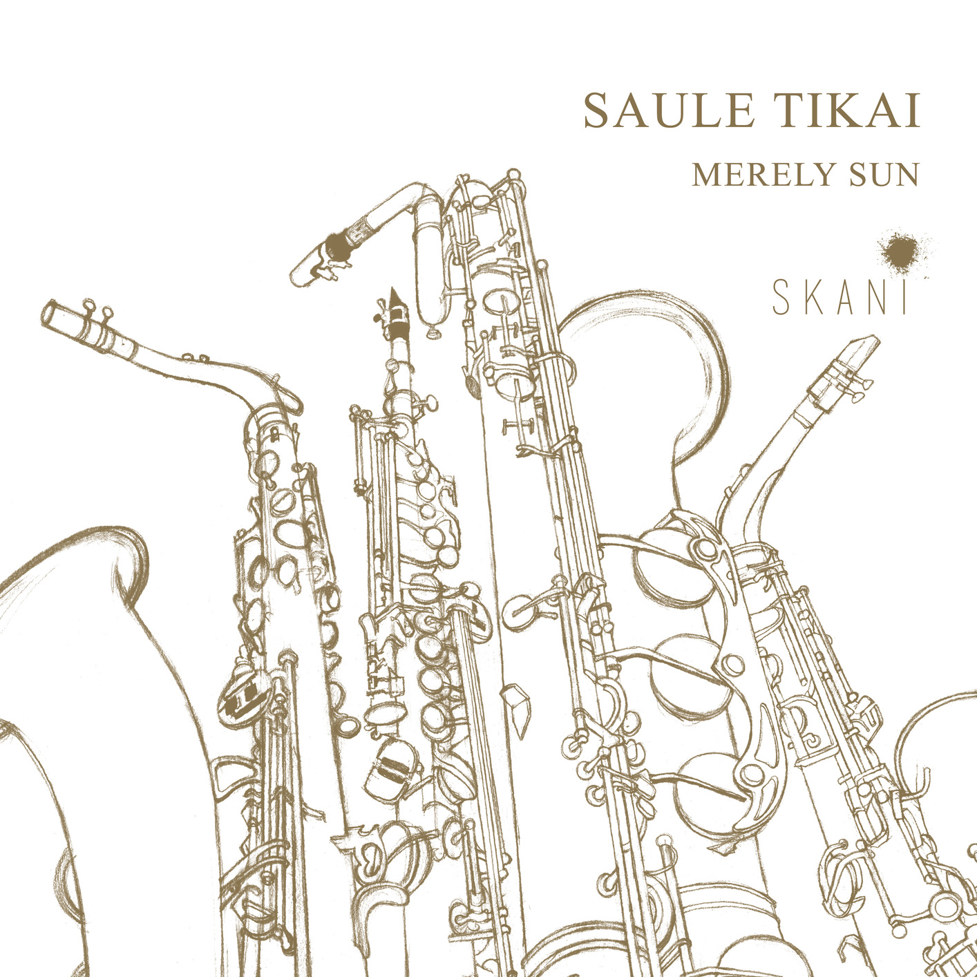 Cover Saule Tikai