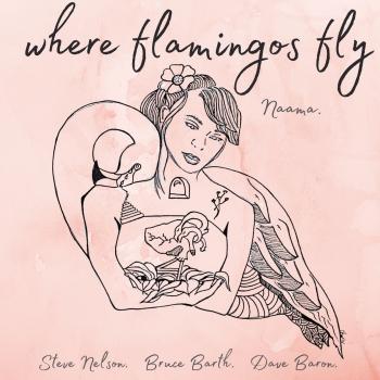 Cover Where Flamingos Fly
