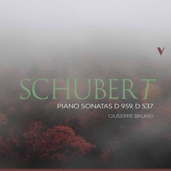 Cover Schubert: Piano Sonatas, D. 959 & D. 537