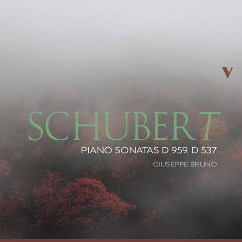 Cover Schubert: Piano Sonatas, D. 959 & D. 537