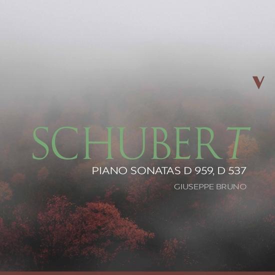Cover Schubert: Piano Sonatas, D. 959 & D. 537
