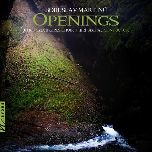 Cover Openings