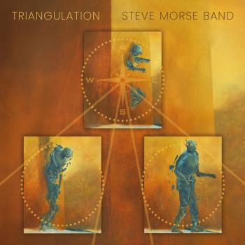 Cover Triangulation
