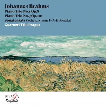 Cover Johannes Brahms: Piano Trios Nos. 1 & 3, Sonatenzatz (Remastered)