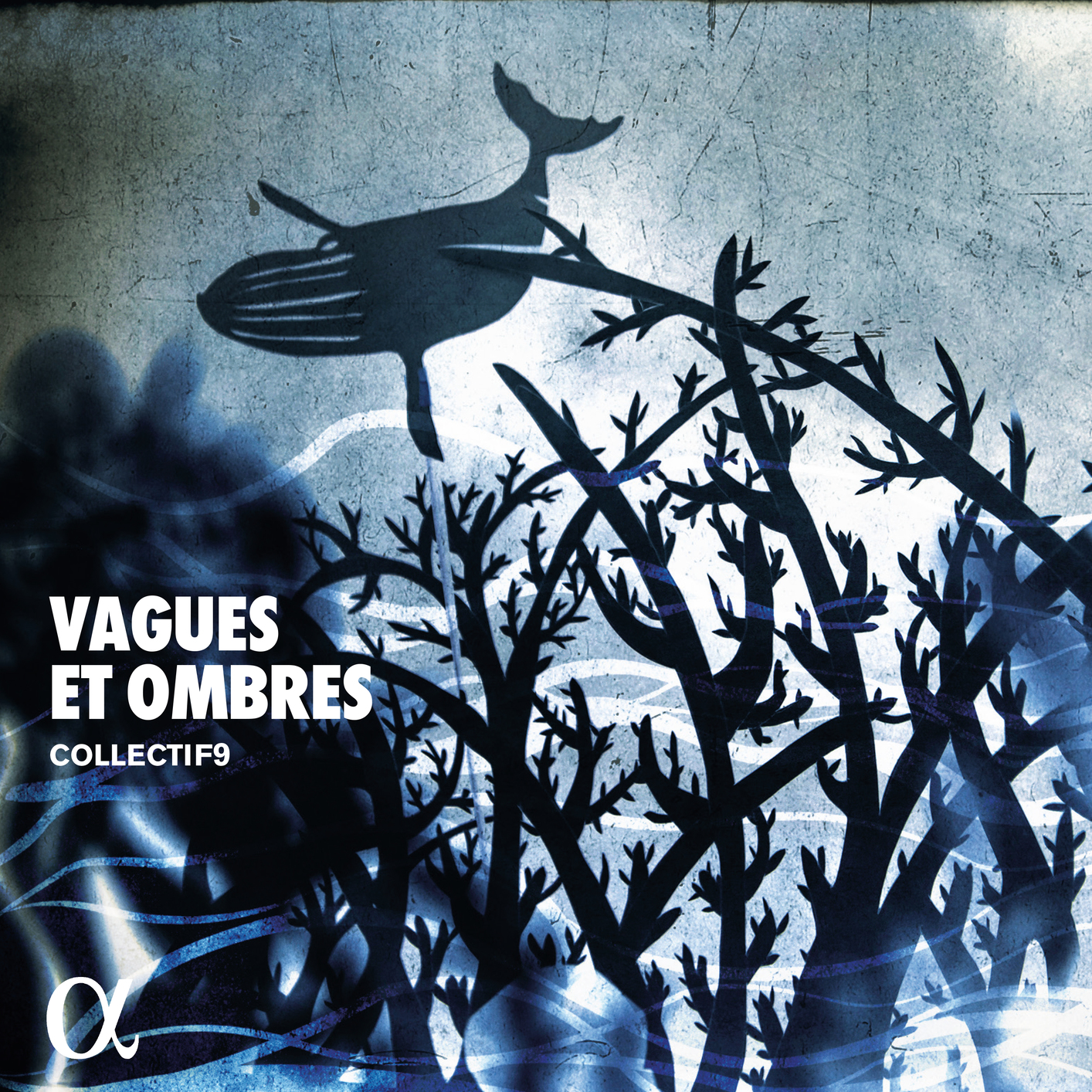 Cover Vagues et ombres