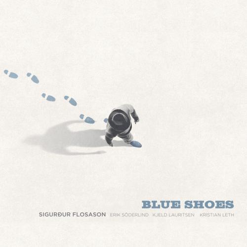 Cover Blue Shoes