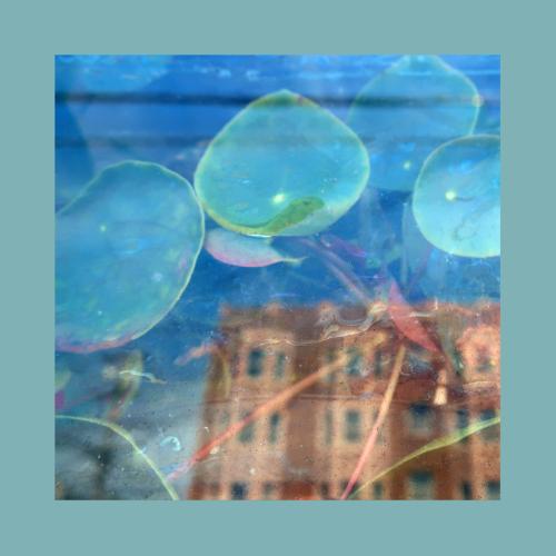 Cover Acknowledge Kindness