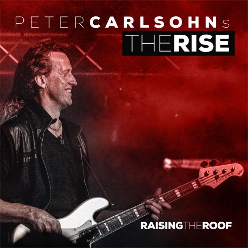 Cover Raising the Roof