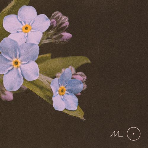Cover TWENTY