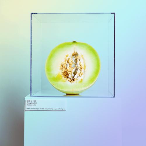 Cover Honeydew