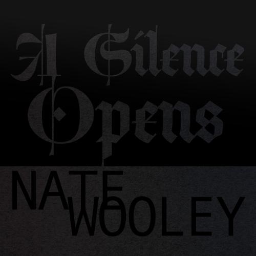 Cover A Silence Opens