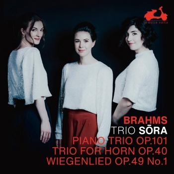 Cover Brahms: Piano Trio Op. 101, Trio for Horn Op. 40, Wiegenlied & Op. 49 No. 1