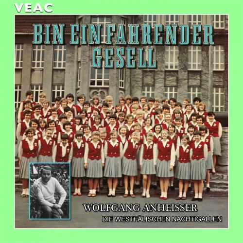 Cover Bin ein fahrender Gesell (Remastered)