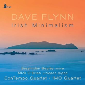Cover Dave Flynn: Irish Minimalism