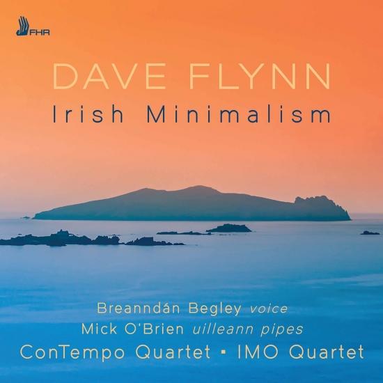 Cover Dave Flynn: Irish Minimalism