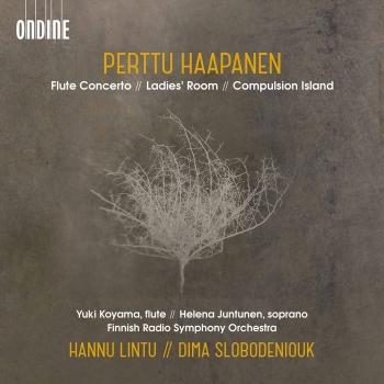 Cover Perttu Haapanen: Flute Concerto, Ladies' Room & Compulsion Island