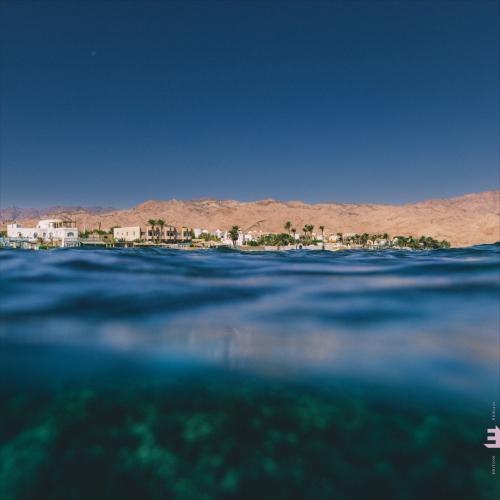 Cover Dahab Days