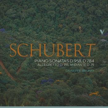 Cover Schubert: Piano Sonatas D. 958, D. 784 & Other Works