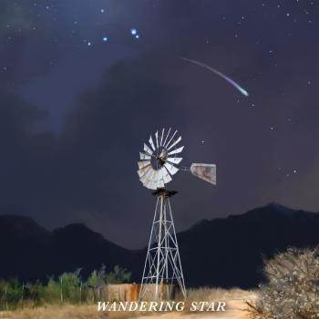 Cover Wandering Star
