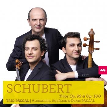 Cover Schubert: Trios Op. 99 & Op. 100